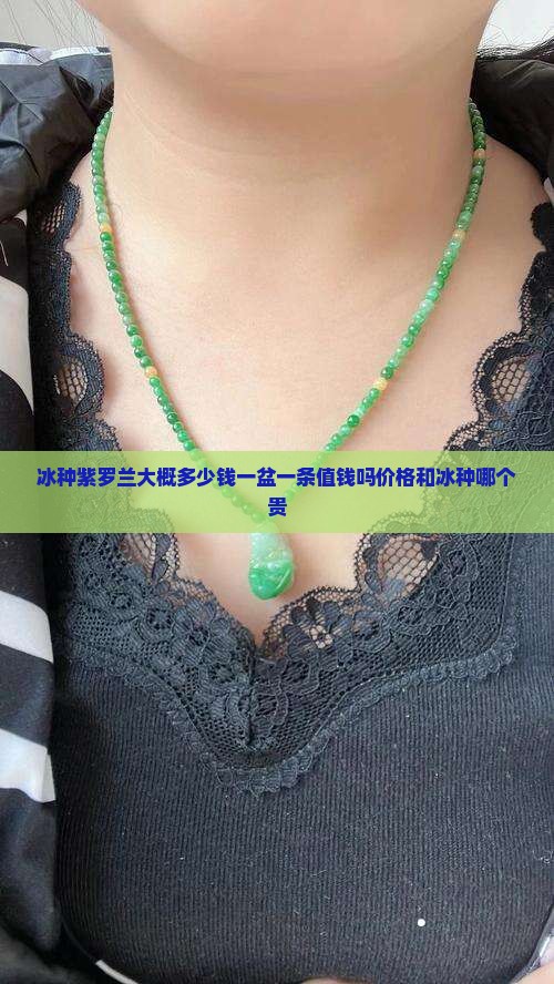 冰种紫罗兰大概多少钱