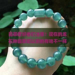 现在的龙石种翡翠不是以前的龙石种 现在的龙石种翡翠不是以前的龙石种
