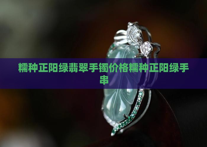 糯种正阳绿 糯种正阳绿
