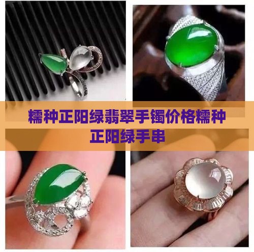 糯种正阳绿 糯种正阳绿