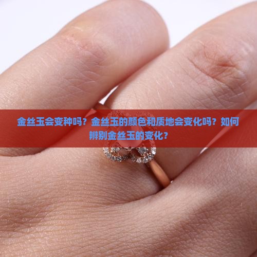金丝玉会变种吗