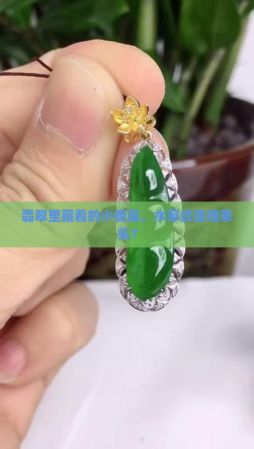 翡翠上的水草纹