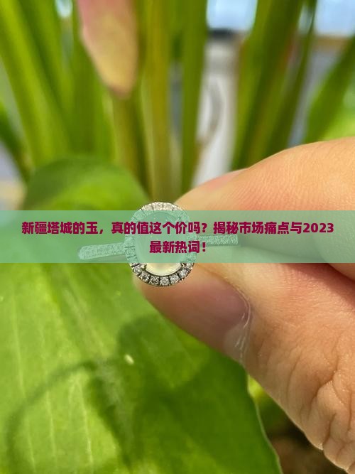 新疆塔城的玉