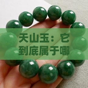 天山玉属于什么档次