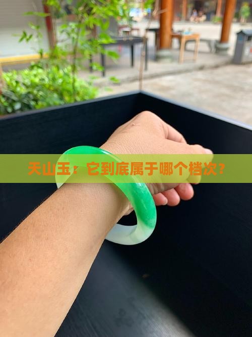 天山玉属于什么档次