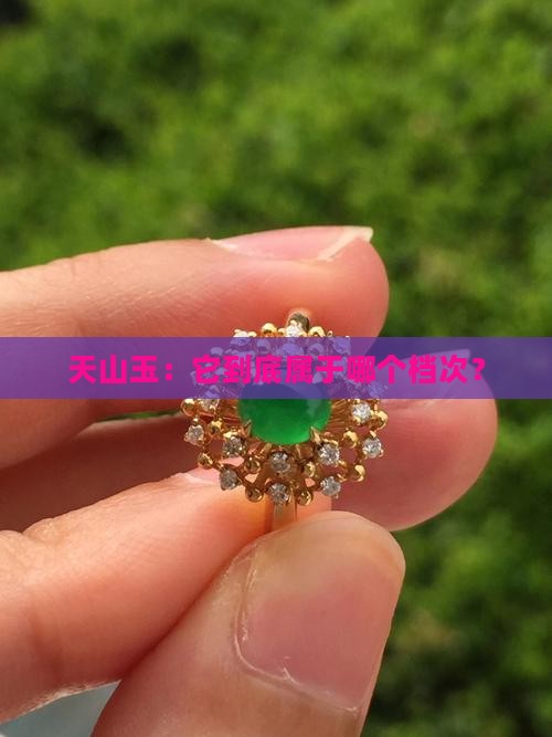 天山玉属于什么档次