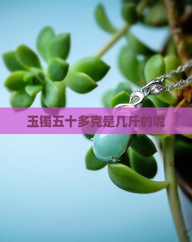 玉镯五十多克是几斤的