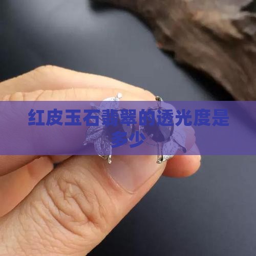 黑红皮玉石透光度多少
