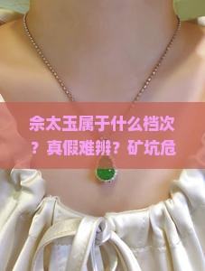 佘太玉属于什么档次