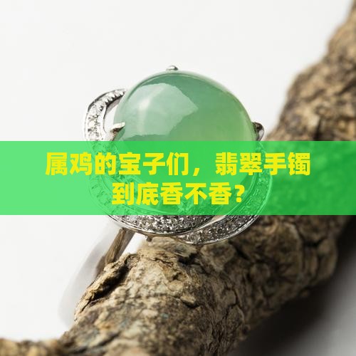 属鸡翡翠手镯好不好
