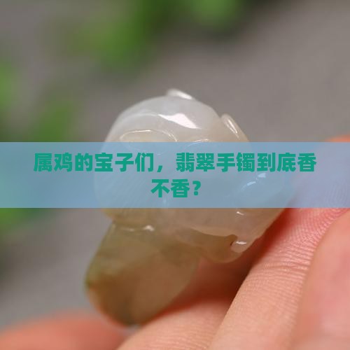 属鸡翡翠手镯好不好
