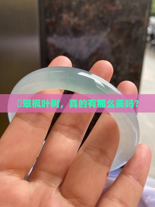 眏翠枫叶树好吗