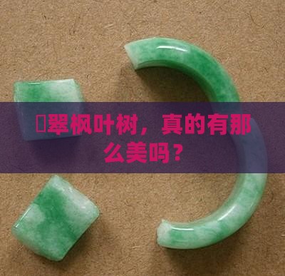 眏翠枫叶树好吗