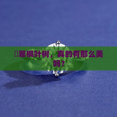 眏翠枫叶树好吗