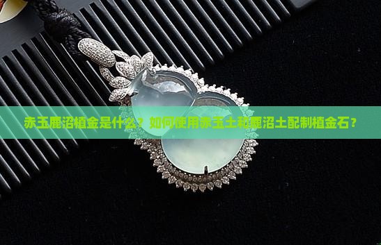 赤玉鹿沼植金