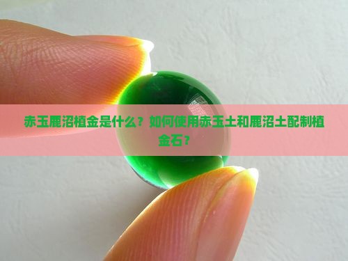 赤玉鹿沼植金