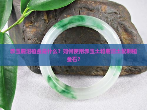 赤玉鹿沼植金