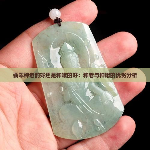 翡翠种老的好还是种嫩的好