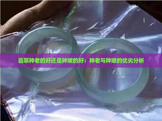翡翠种老的好还是种嫩的好