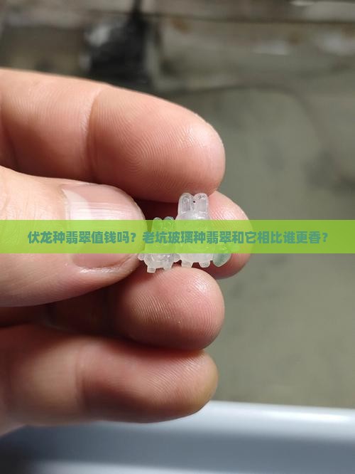 伏龙种翡翠