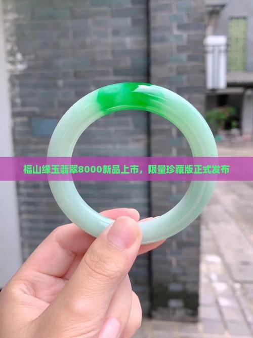 福山缘玉翡翠8000