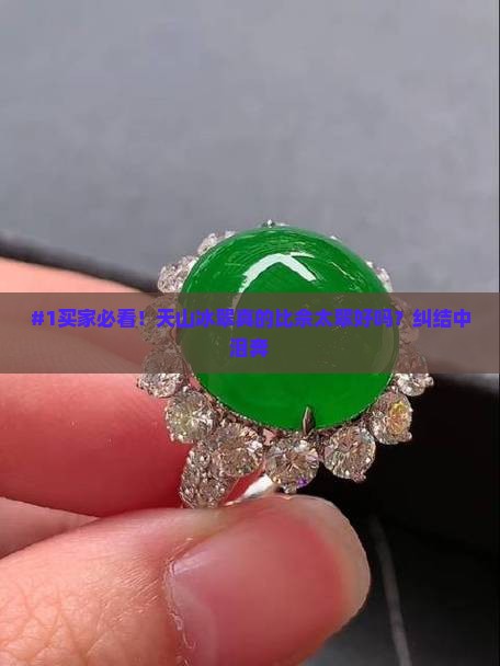 天山冰翠好还是佘太翠好