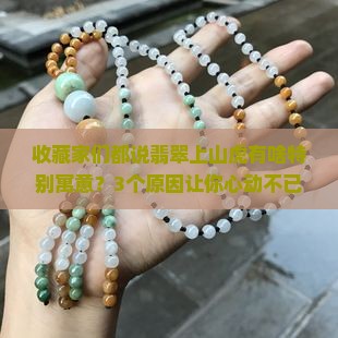 翡翠上山虎的寓意