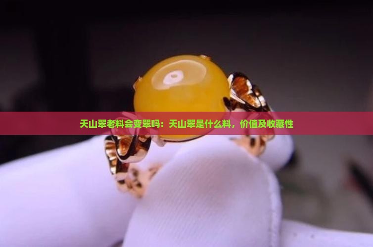 天山翠老料会变翠吗