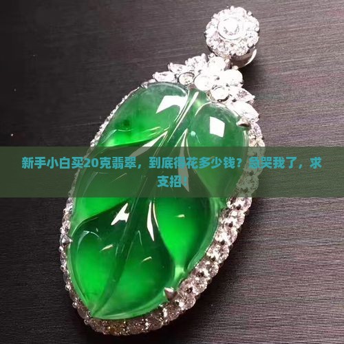 20克翡翠多少钱