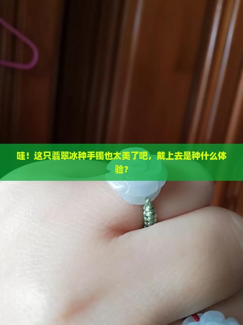 一只翡翠冰种手镯 一只翡翠冰种手镯