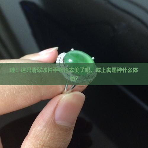 一只翡翠冰种手镯 一只翡翠冰种手镯