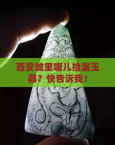 西安哪收玉