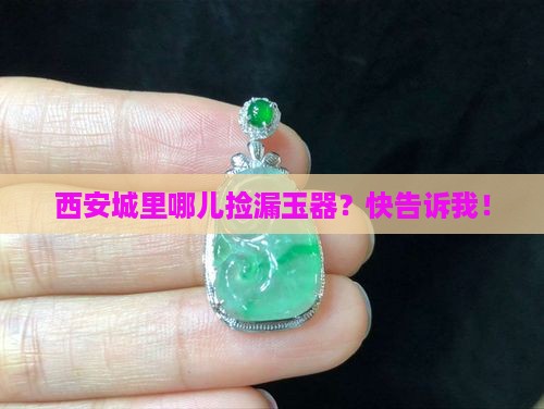 西安哪收玉
