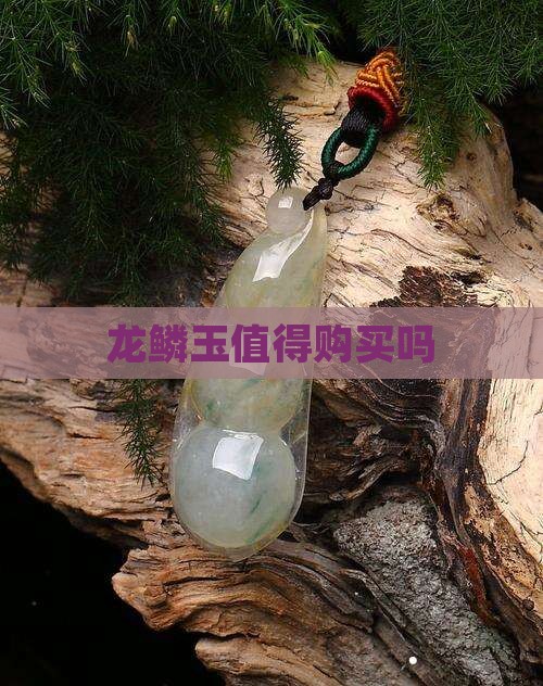 龙鳞玉最建议买吗