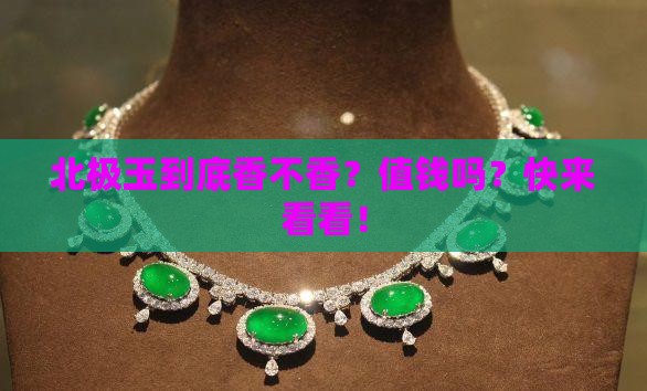 北极玉值钱吗