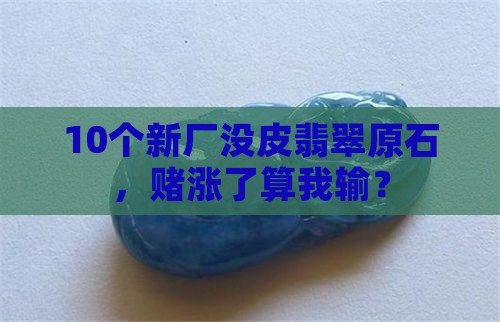 新厂没皮的翡翠原石