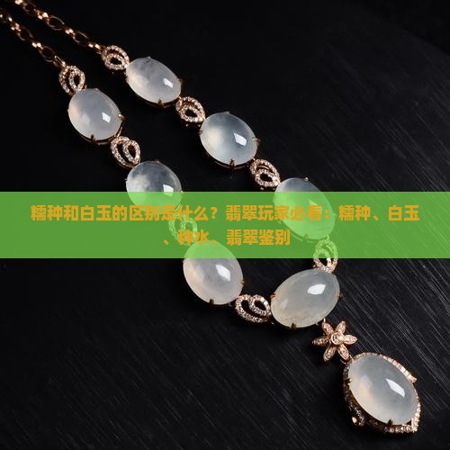 糯种和白玉的