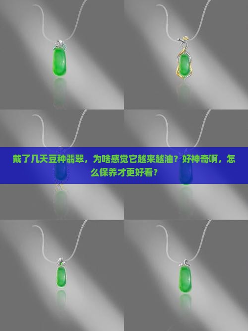 豆种翡翠怎么像有油