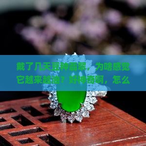 豆种翡翠怎么像有油