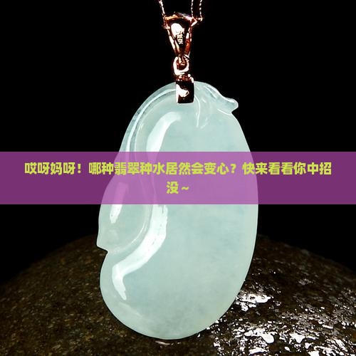 什么样的翡翠种水会变种 什么样的翡翠种水会变种