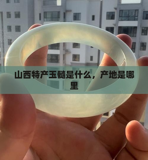 山西特产玉髓