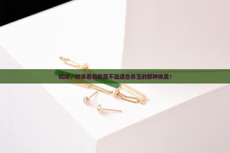 什么体质的人适合养玉