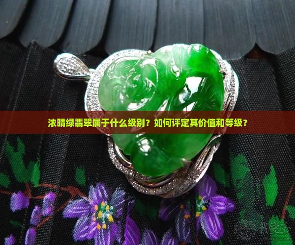 浓晴绿翡翠属于什么级别