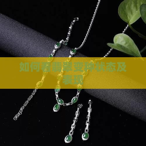 如何看翡翠变种