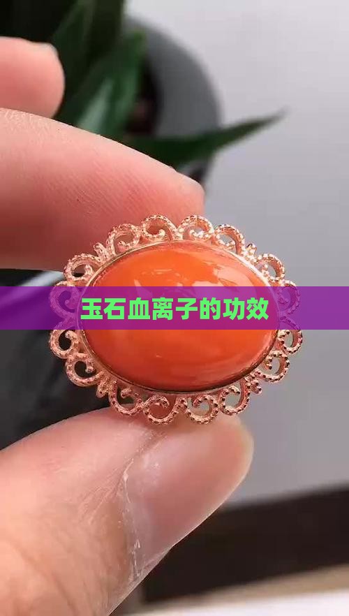 玉石血离子的功效