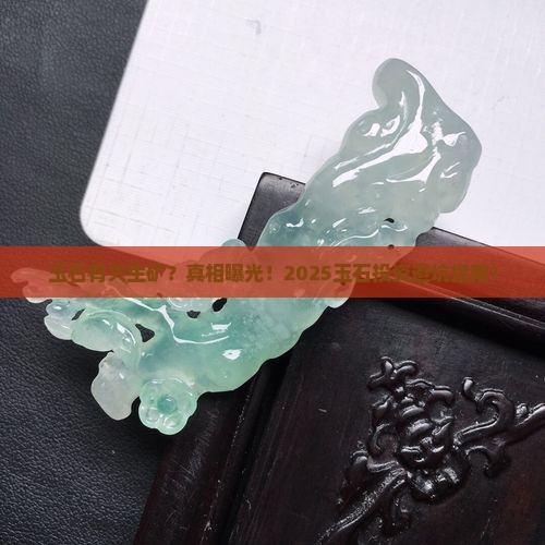 玉石有共生矿
