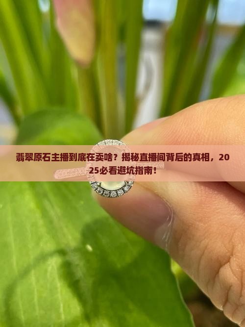 翡翠原石主播卖货描述
