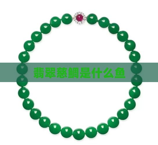 银翡翠是什么鱼