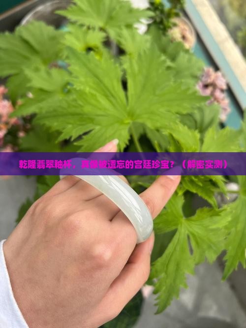 乾隆翡翠釉杯