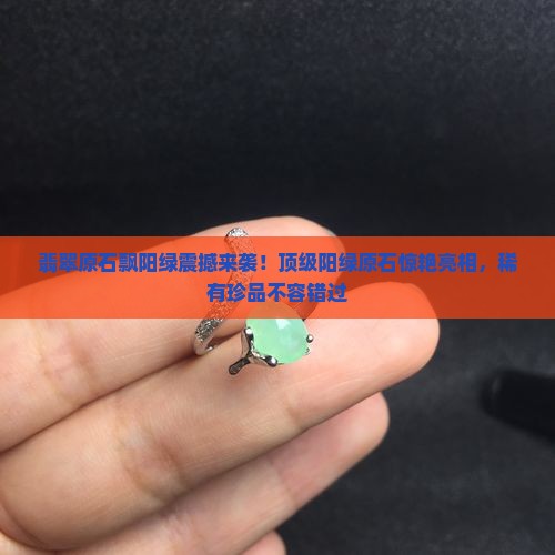 翡翠原石飘阳绿